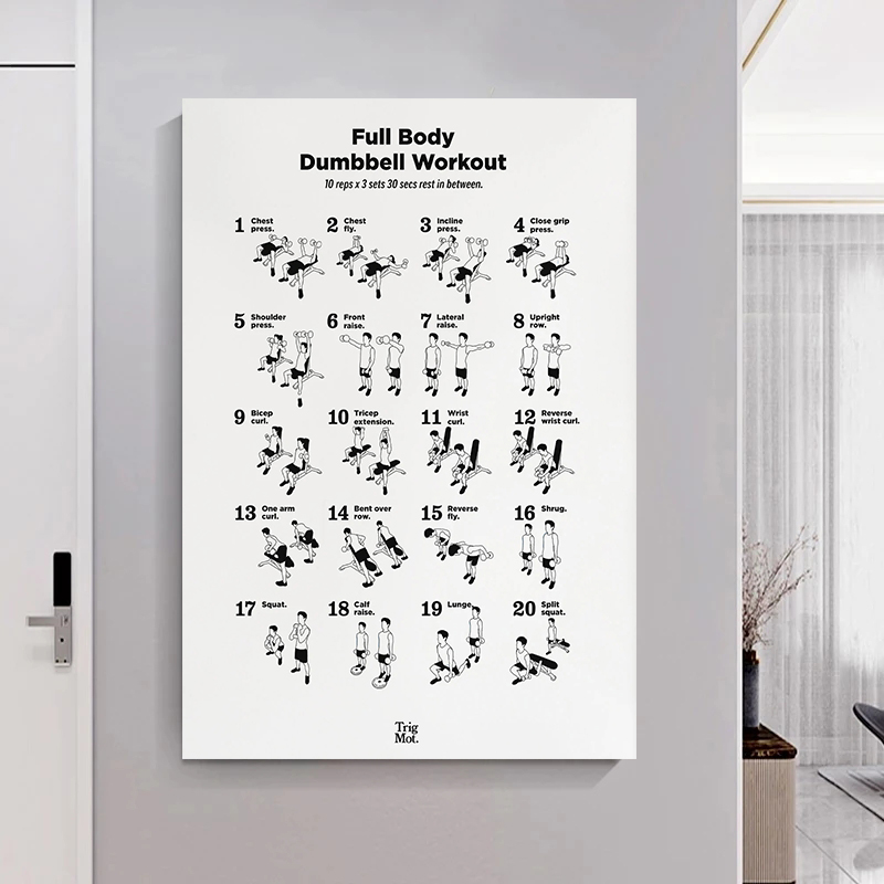 Dumbbell Gym Chart Poster Prin - Badminton Poster 评论和价格