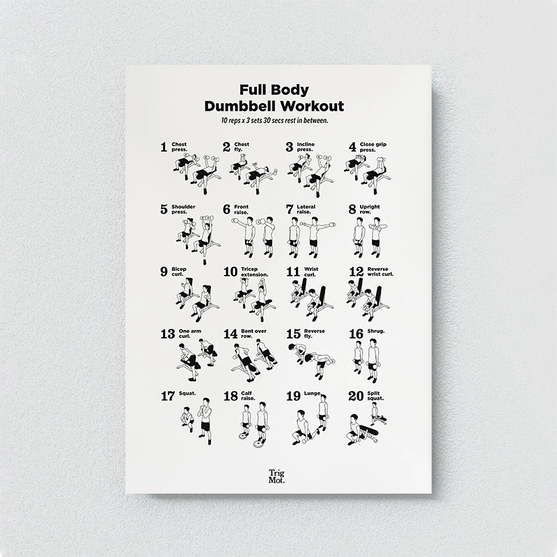 Dumbbell Gym Chart Poster Prin - Badminton Poster 评论和价格