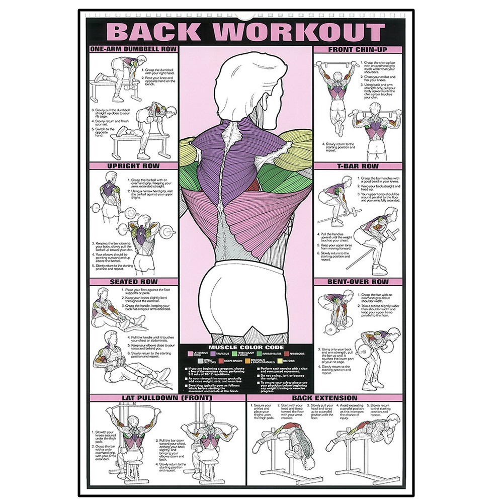 Workout Fitness Activities Van - Badminton Poster 评论和价格